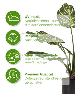 Calathea - Pfauen-Korbmaranthe Kunstpflanze