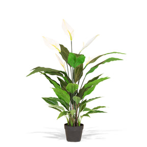 Einblatt - Spathiphyllum Kunstpflanze, blühend