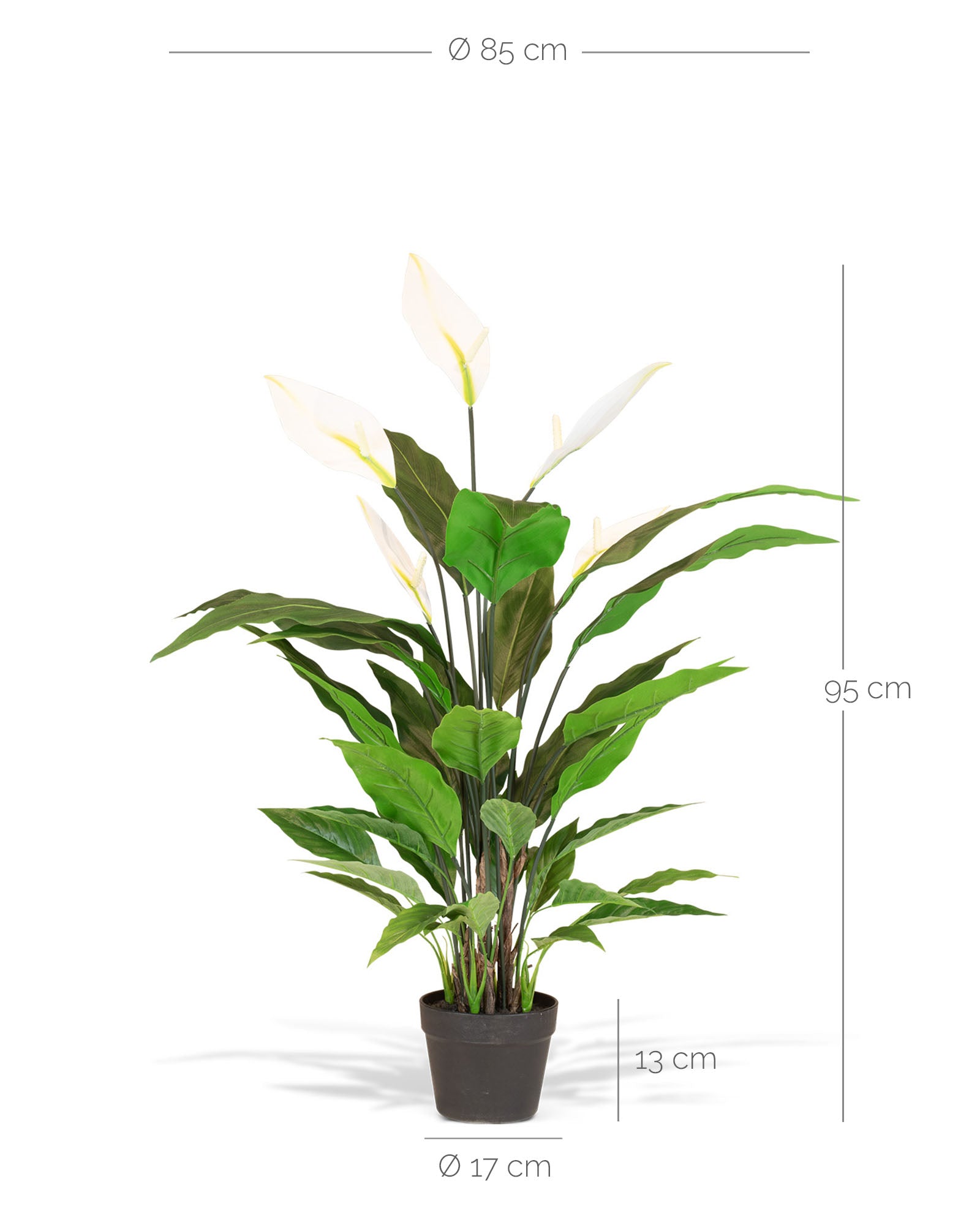 Einblatt - Spathiphyllum Kunstpflanze, blühend