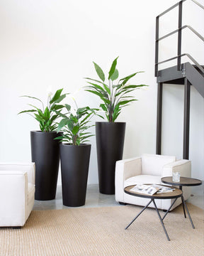 Einblatt - Spathiphyllum Kunstpflanze, blühend