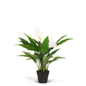 Einblatt - Spathiphyllum Kunstpflanze, blühend