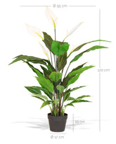 Blühende Einblatt Spathiphyllum Kunstpflanze UV-stabil und groß in der Detailansicht