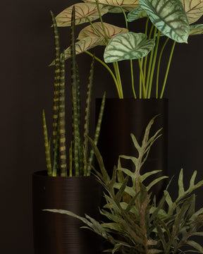 Sansevieria cylindrica - Zylindrischer Bogenhanf Kunstpflanze