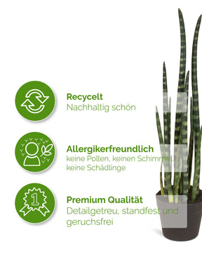 Sansevieria cylindrica - Zylindrischer Bogenhanf Kunstpflanze