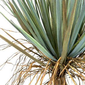Yucca - Palmlilie Kunstpflanze