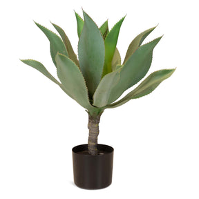 Aloe Vera Kunstpflanze