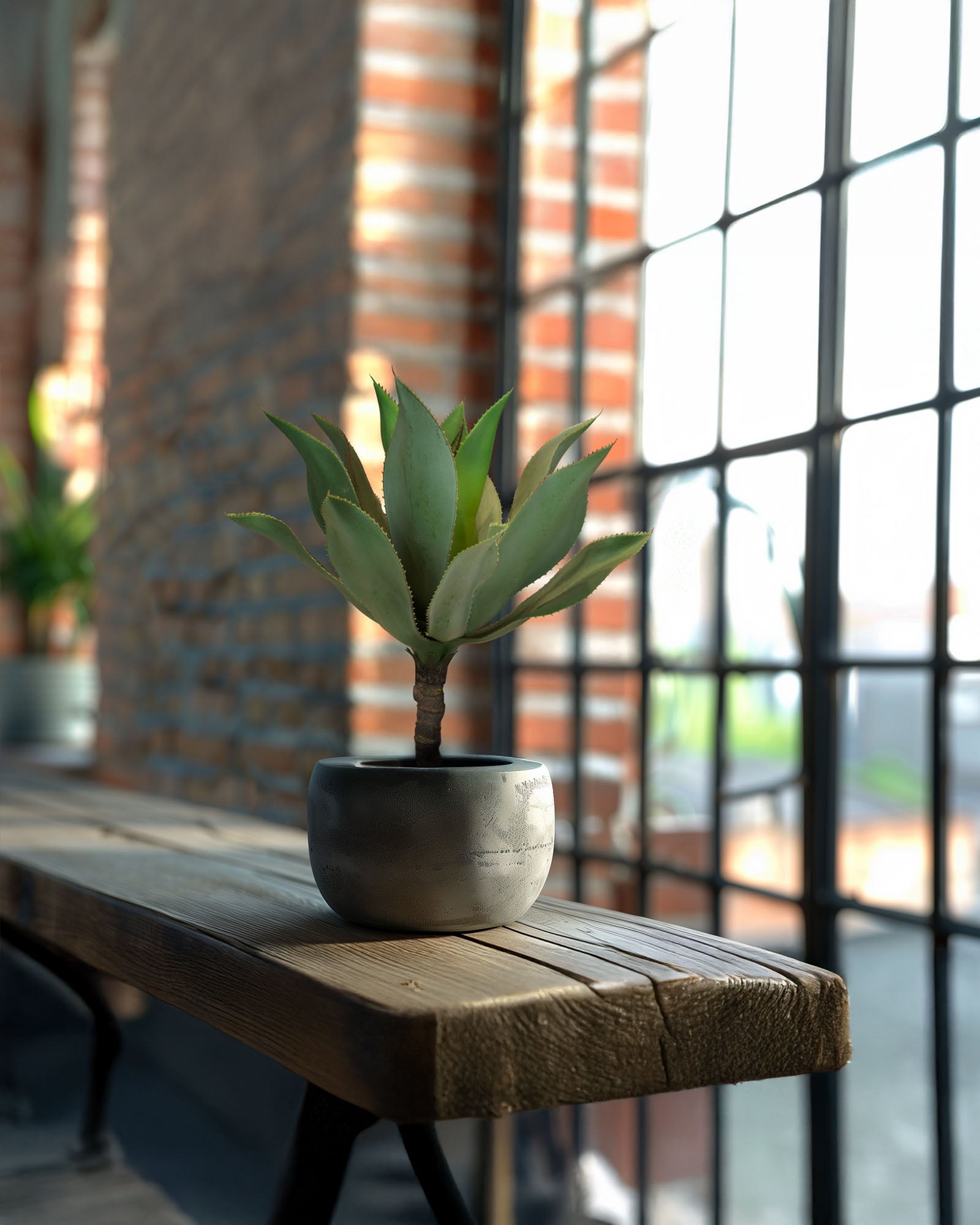 Aloe Vera Kunstpflanze