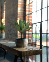 Aloe Vera Kunstpflanze