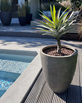 Yucca Palmlilie Kunstpflanze