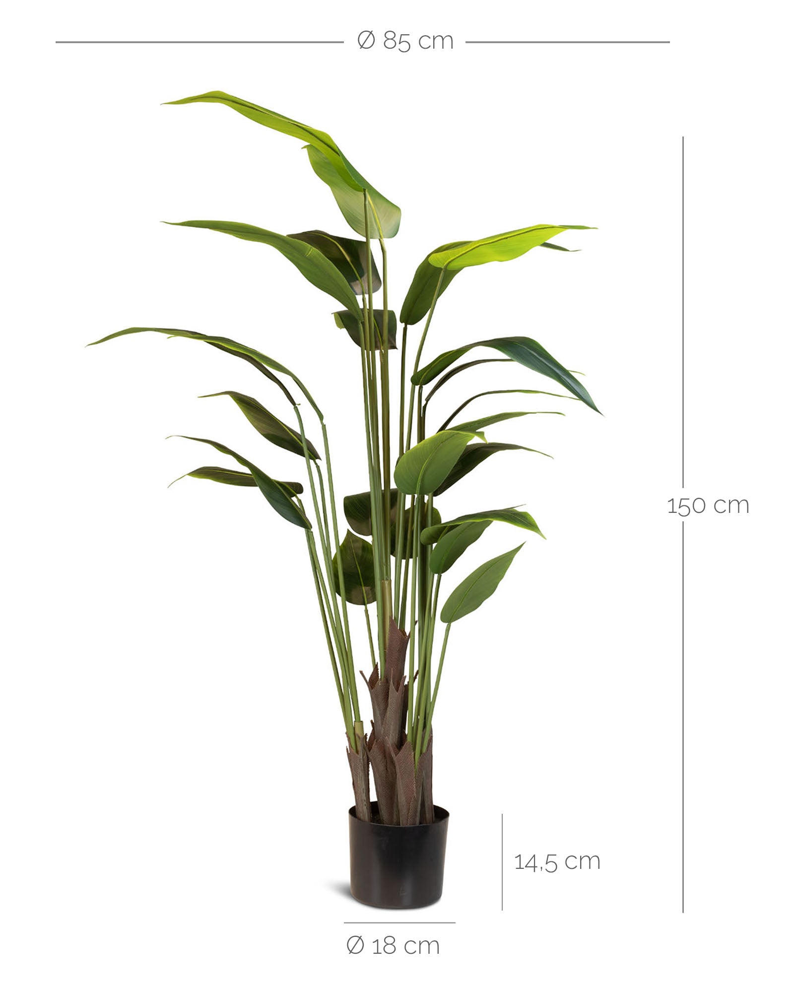 Große Bananenpflanze Musa Kunstpflanze von Get Your Green in der Seitenansicht aus recycelten Materialien