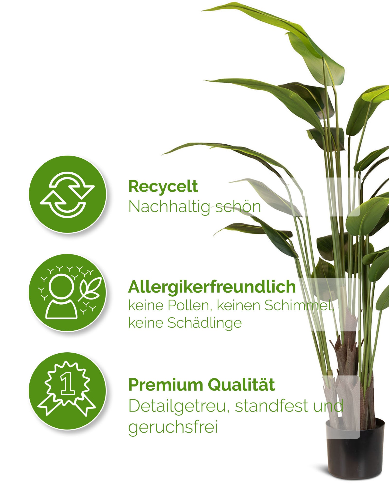 Detailansicht der großen Bananenpflanze Musa von Get Your Green aus recycelten Materialien