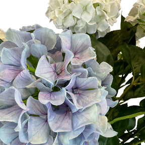 Hortensie - Hydrangea Kunstpflanze