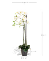 Orchidee Kunstpflanze