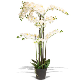 Orchidee Kunstpflanze