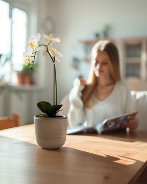 Orchidee Kunstpflanze