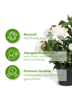 Paeonia - Pfingstrosen Kunstpflanzen