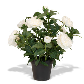 Paeonia - Pfingstrosen Kunstpflanzen
