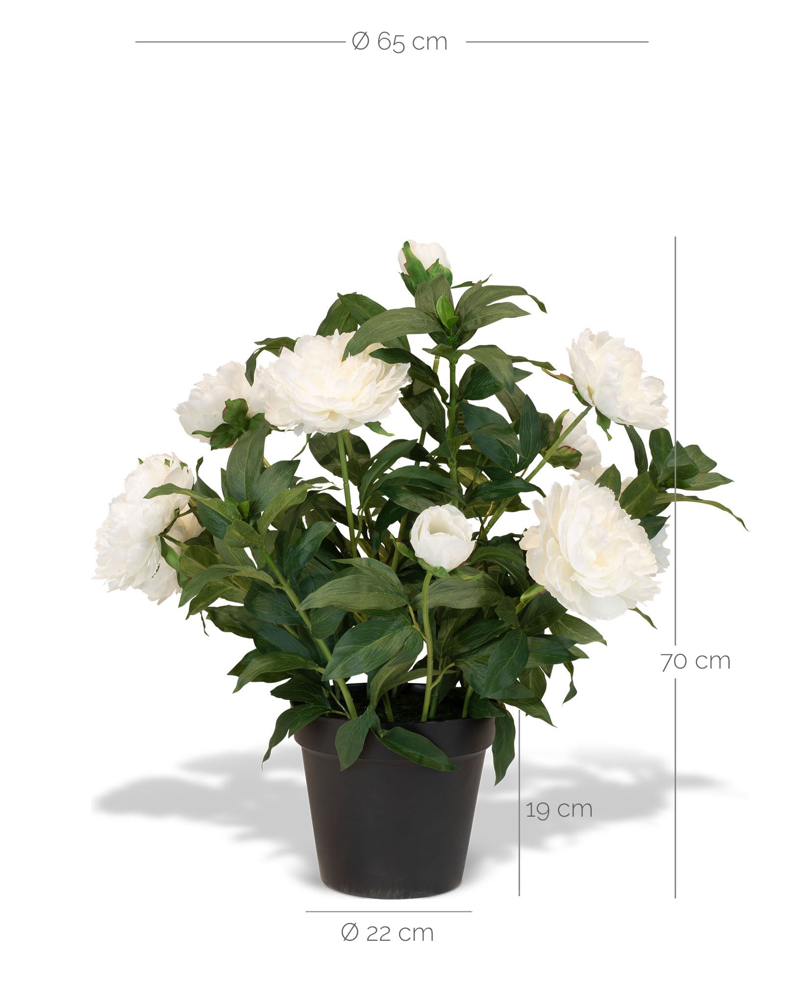 Paeonia - Pfingstrosen Kunstpflanzen