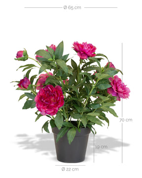 Paeonia - Pfingstrosen Kunstpflanzen