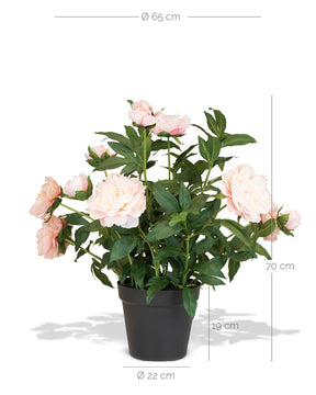 Paeonia - Pfingstrosen Kunstpflanzen