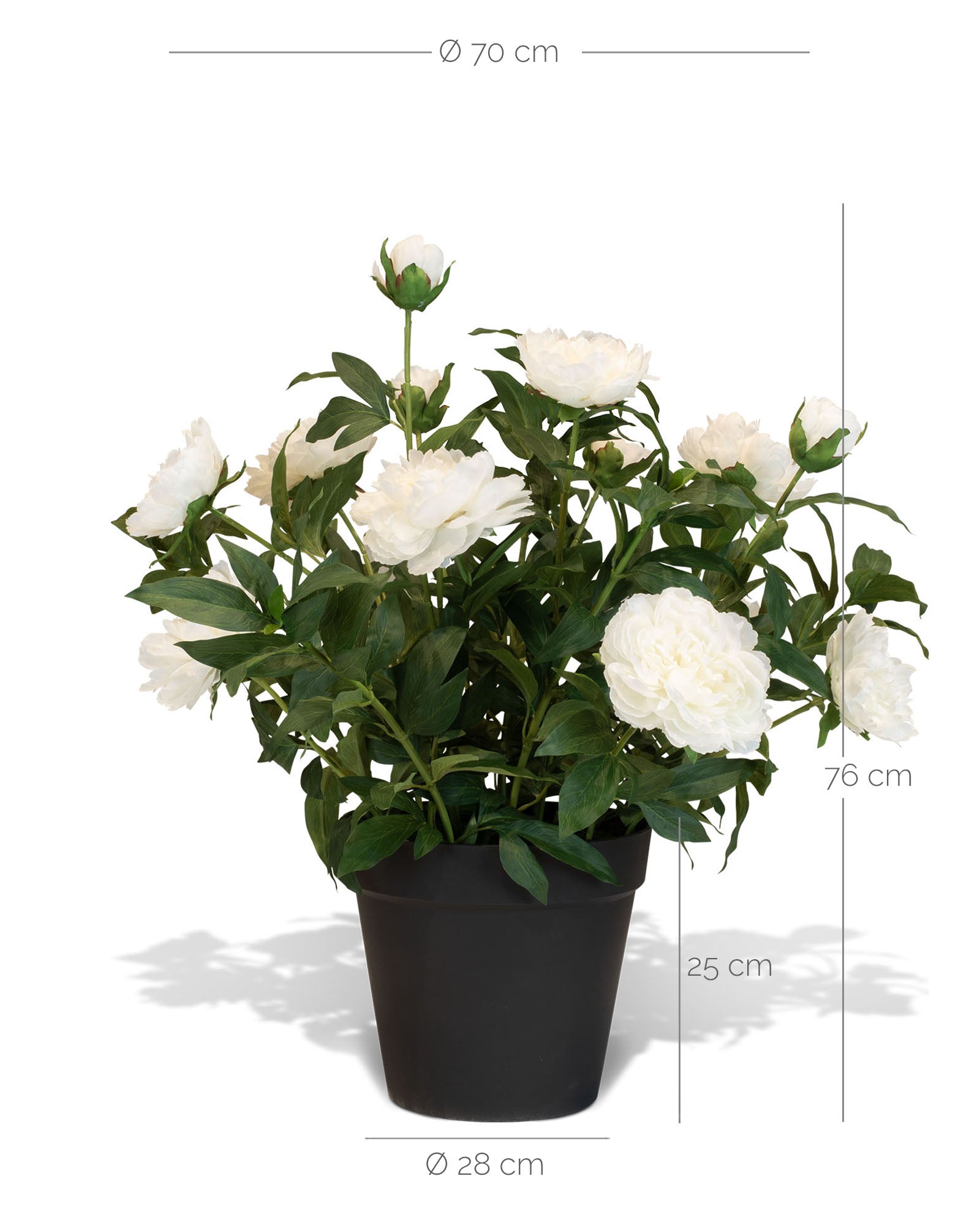 Paeonia - Pfingstrosen Kunstpflanzen