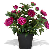 Paeonia - Pfingstrosen Kunstpflanzen