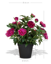 Paeonia - Pfingstrosen Kunstpflanzen