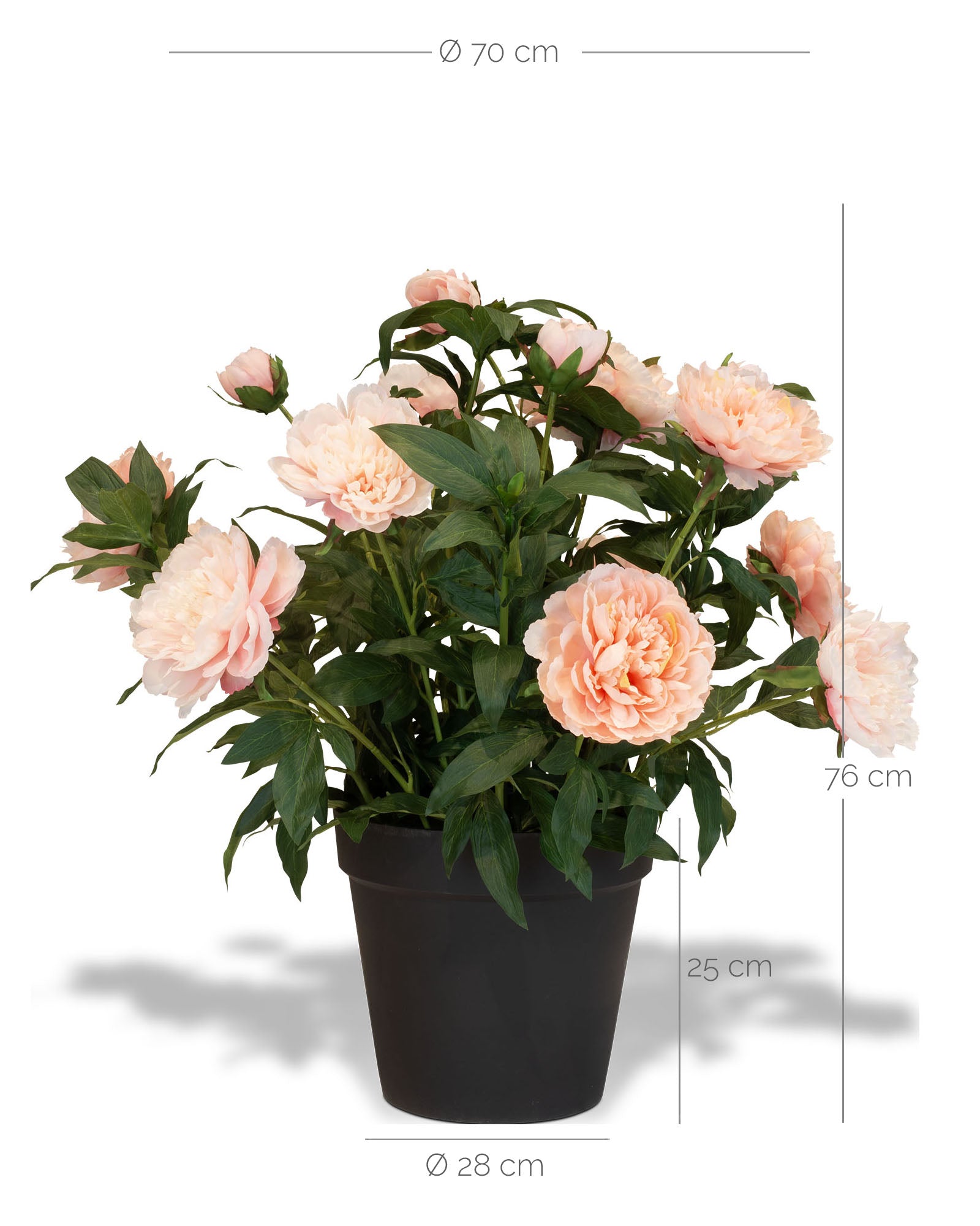 Paeonia - Pfingstrosen Kunstpflanzen