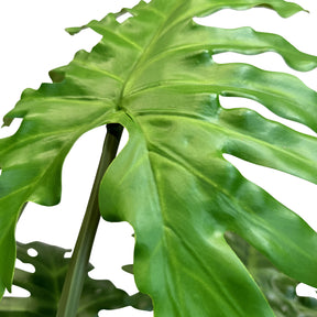 Baum-Philodendron Kunstpflanze