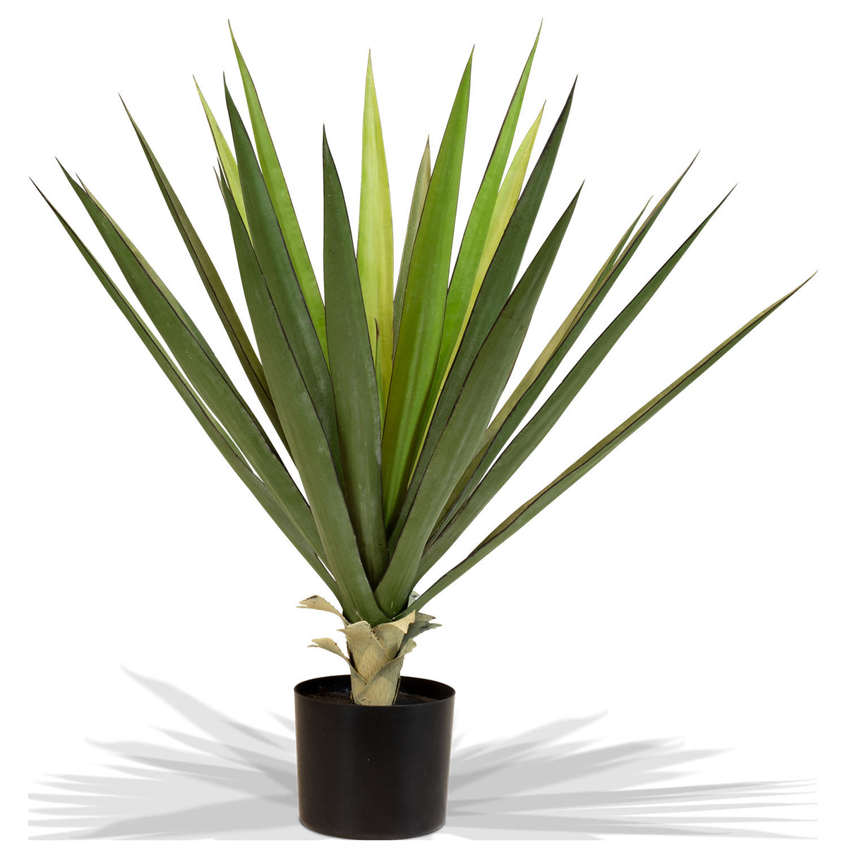 Sisal - Agave sisalana Kunstpflanze