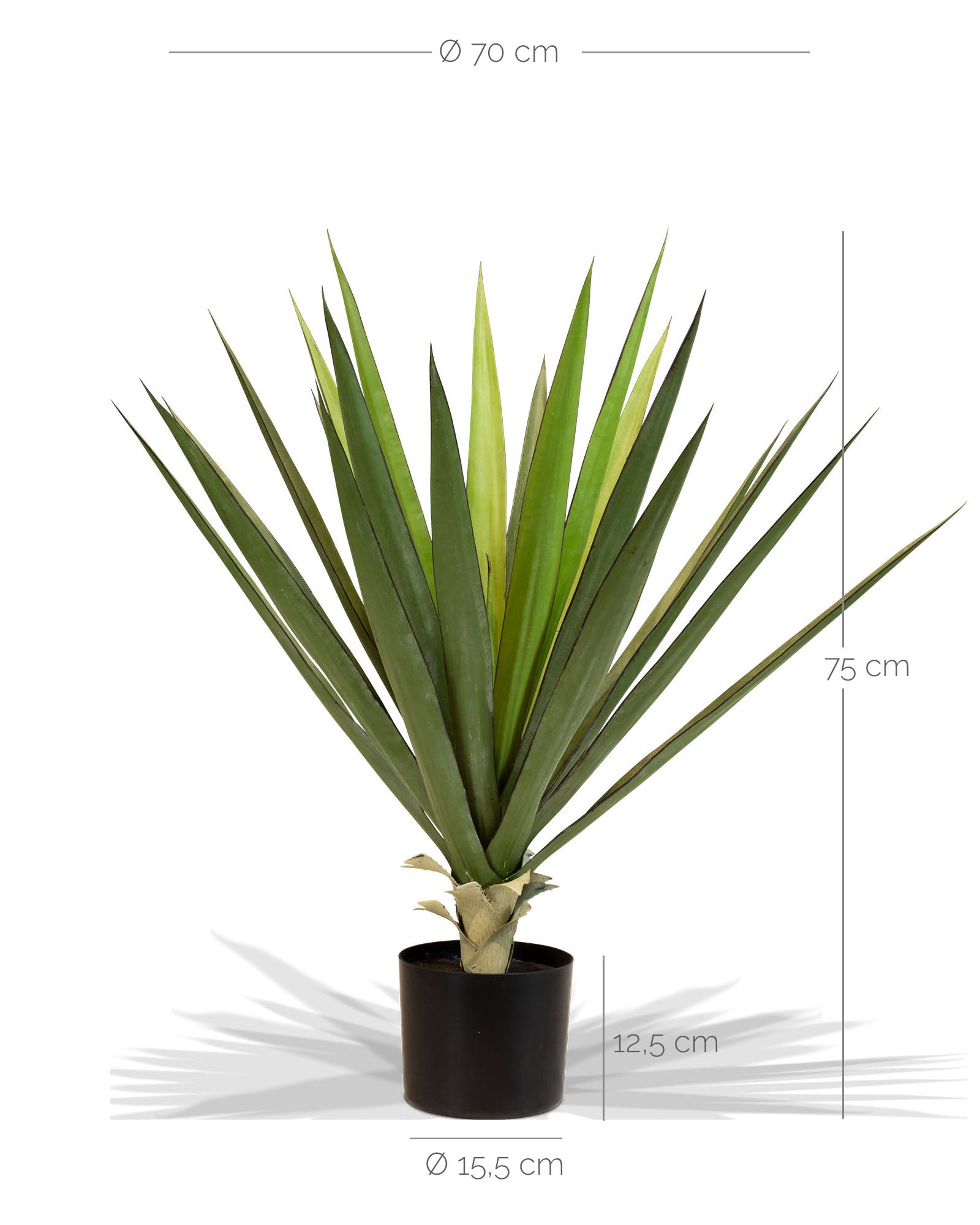 Sisal - Agave sisalana Kunstpflanze