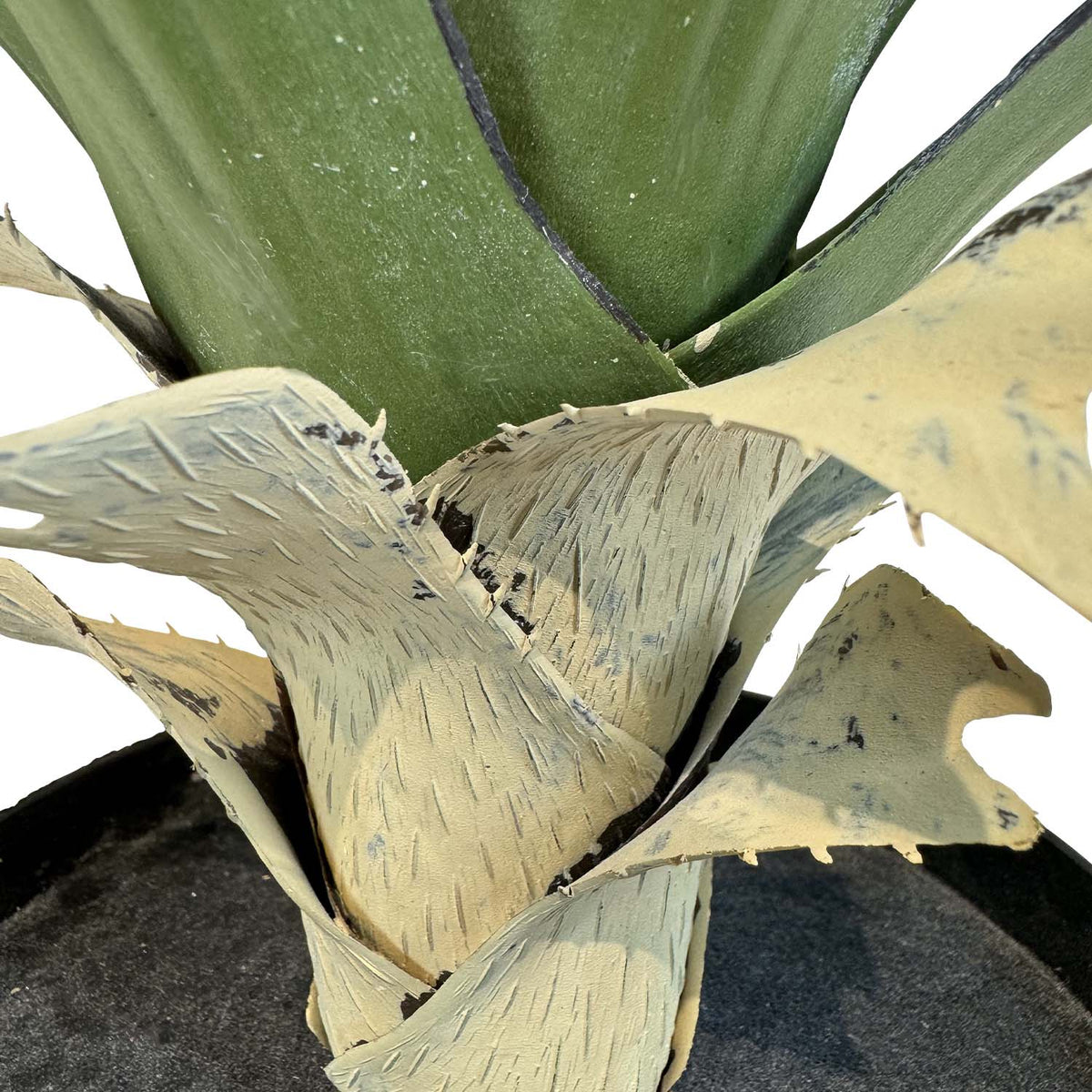 Sisal - Agave sisalana Kunstpflanze
