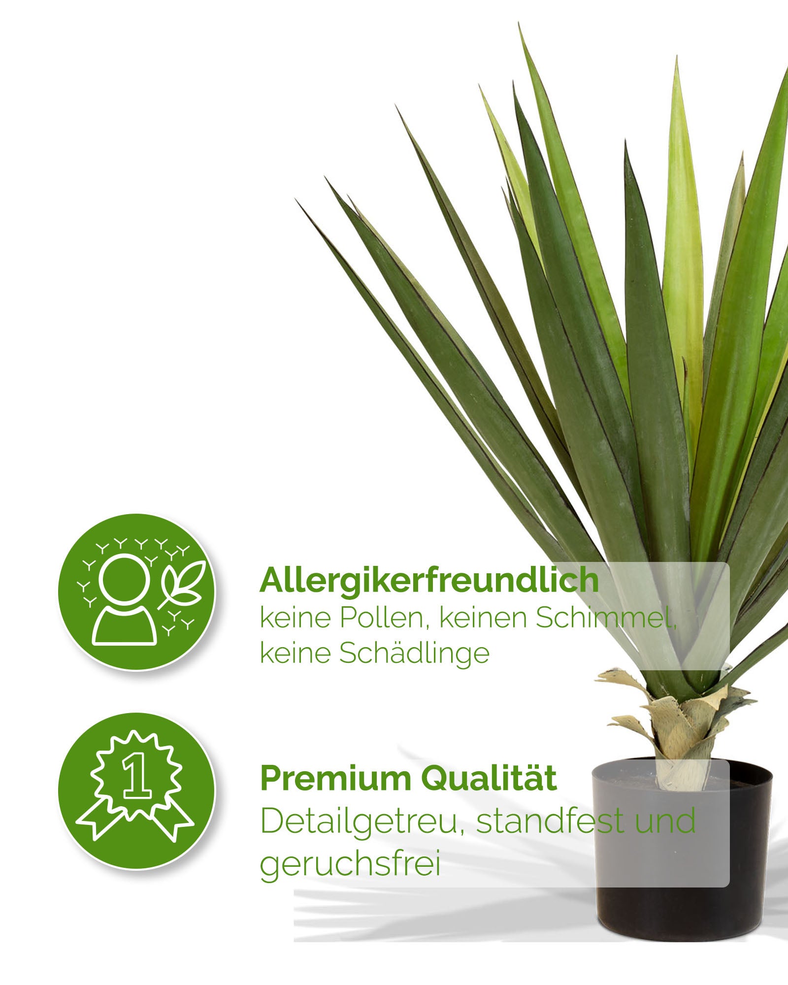 Sisal - Agave sisalana Kunstpflanze