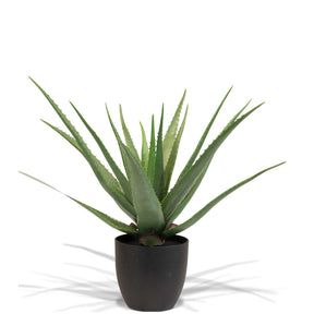 Aloe Vera Kunstpflanze