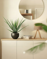 Aloe Vera Kunstpflanze