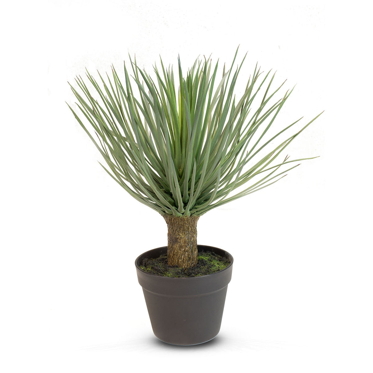 Yucca rostrata Kunstpflanze