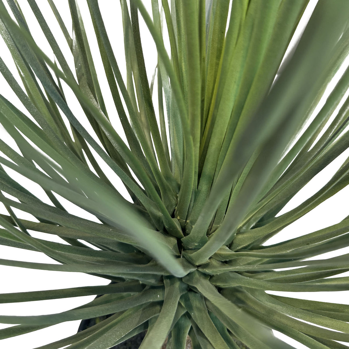 Yucca rostrata Kunstpflanze