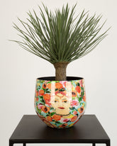 Yucca rostrata Kunstpflanze