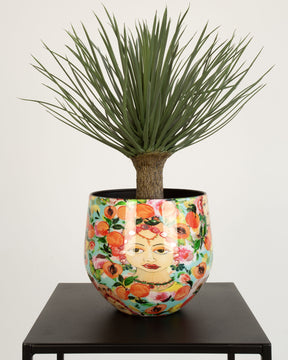 Yucca rostrata Kunstpflanze