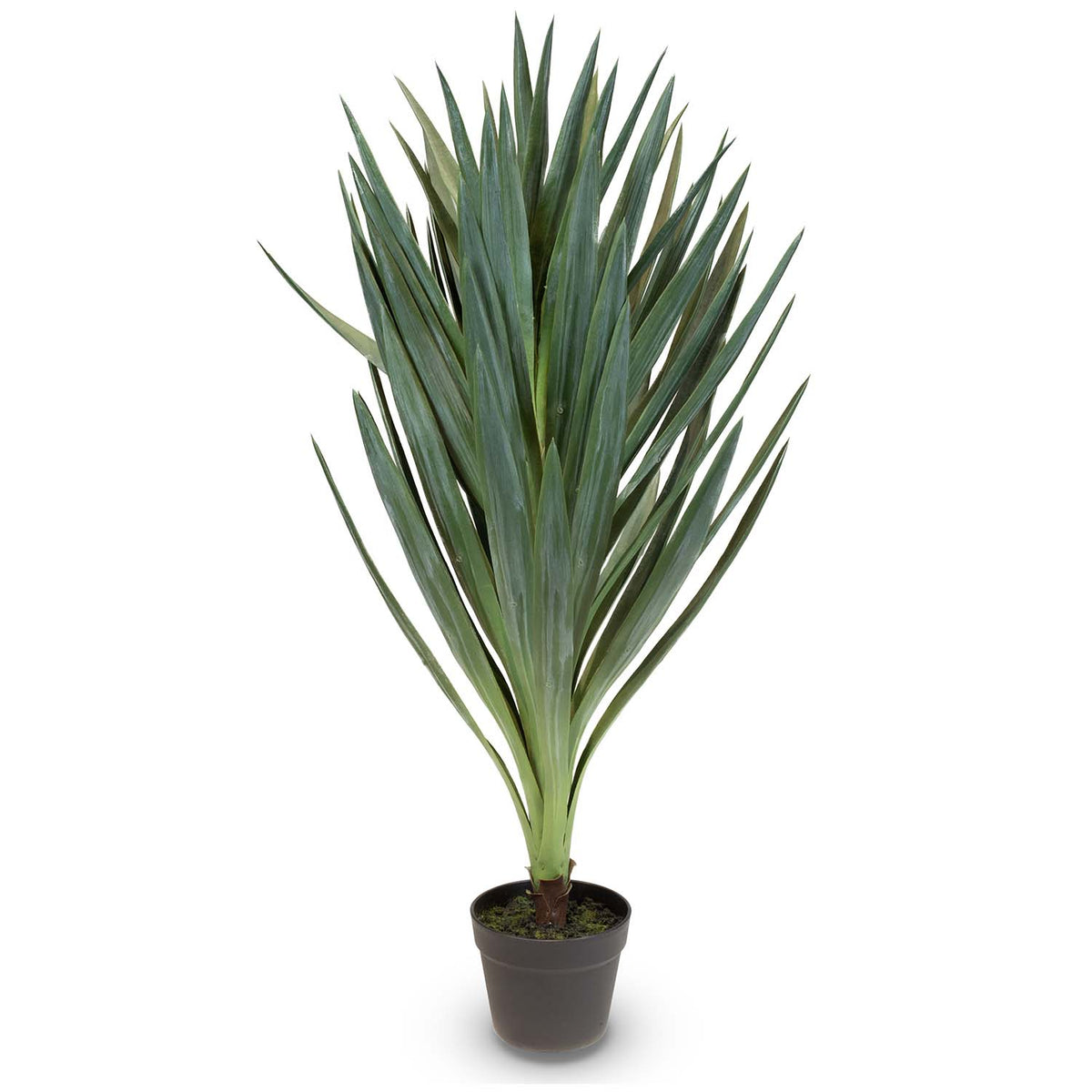 Yucca - Palmlilie Kunstpflanze