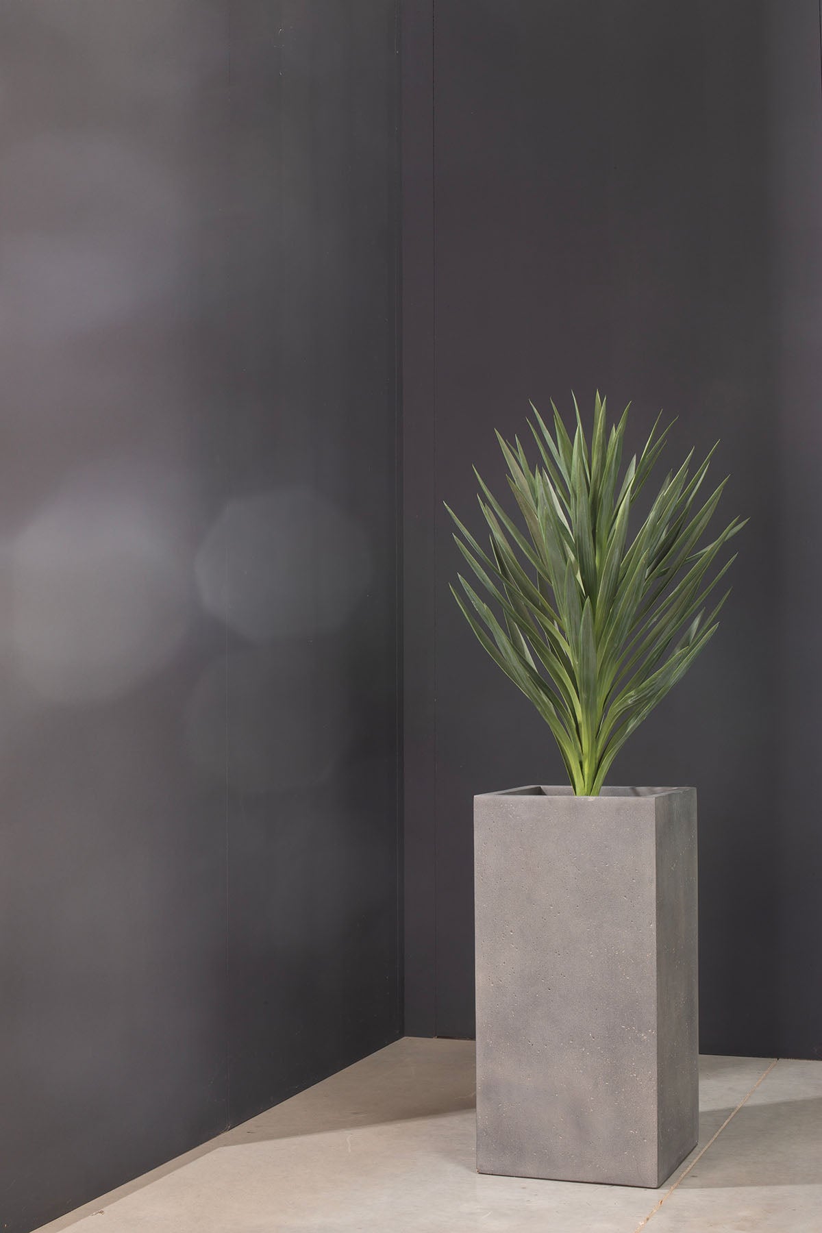 Yucca - Palmlilie Kunstpflanze