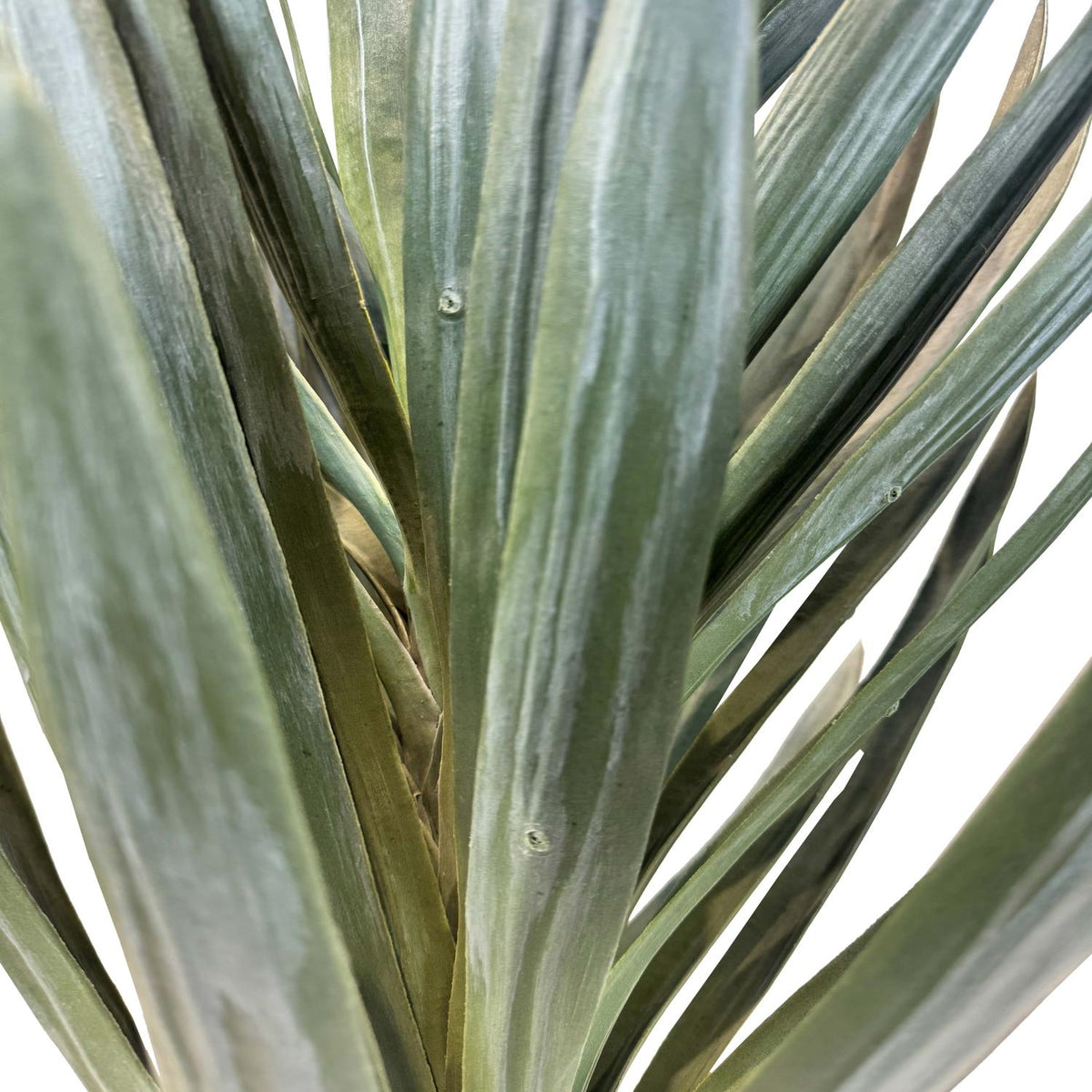 Yucca - Palmlilie Kunstpflanze