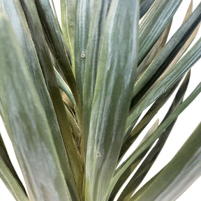 Yucca - Palmlilie Kunstpflanze