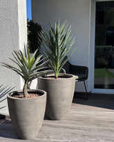 Yucca - Palmlilie Kunstpflanze