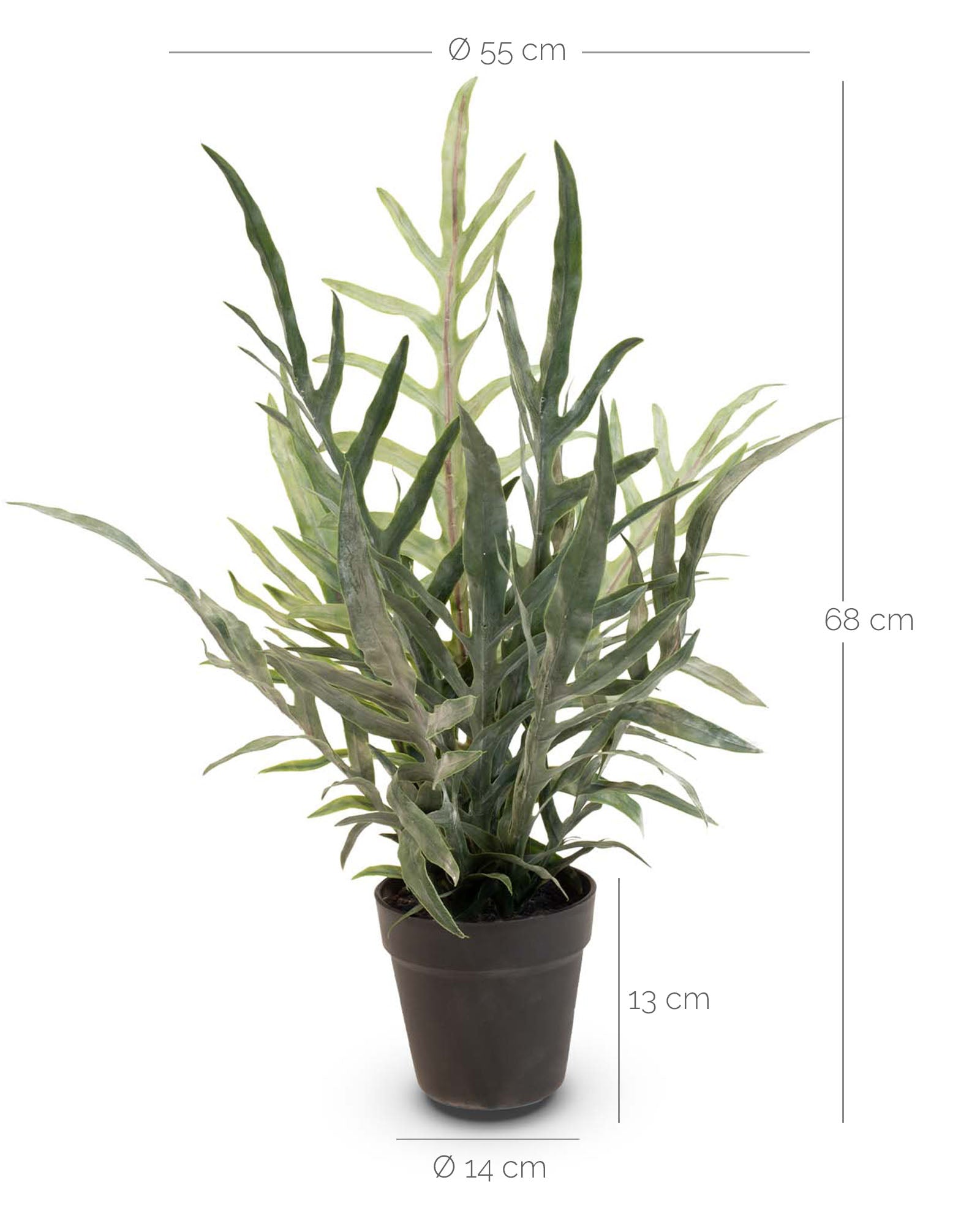 Goldtüpfelfarn Phebodium aureum Kunstpflanze