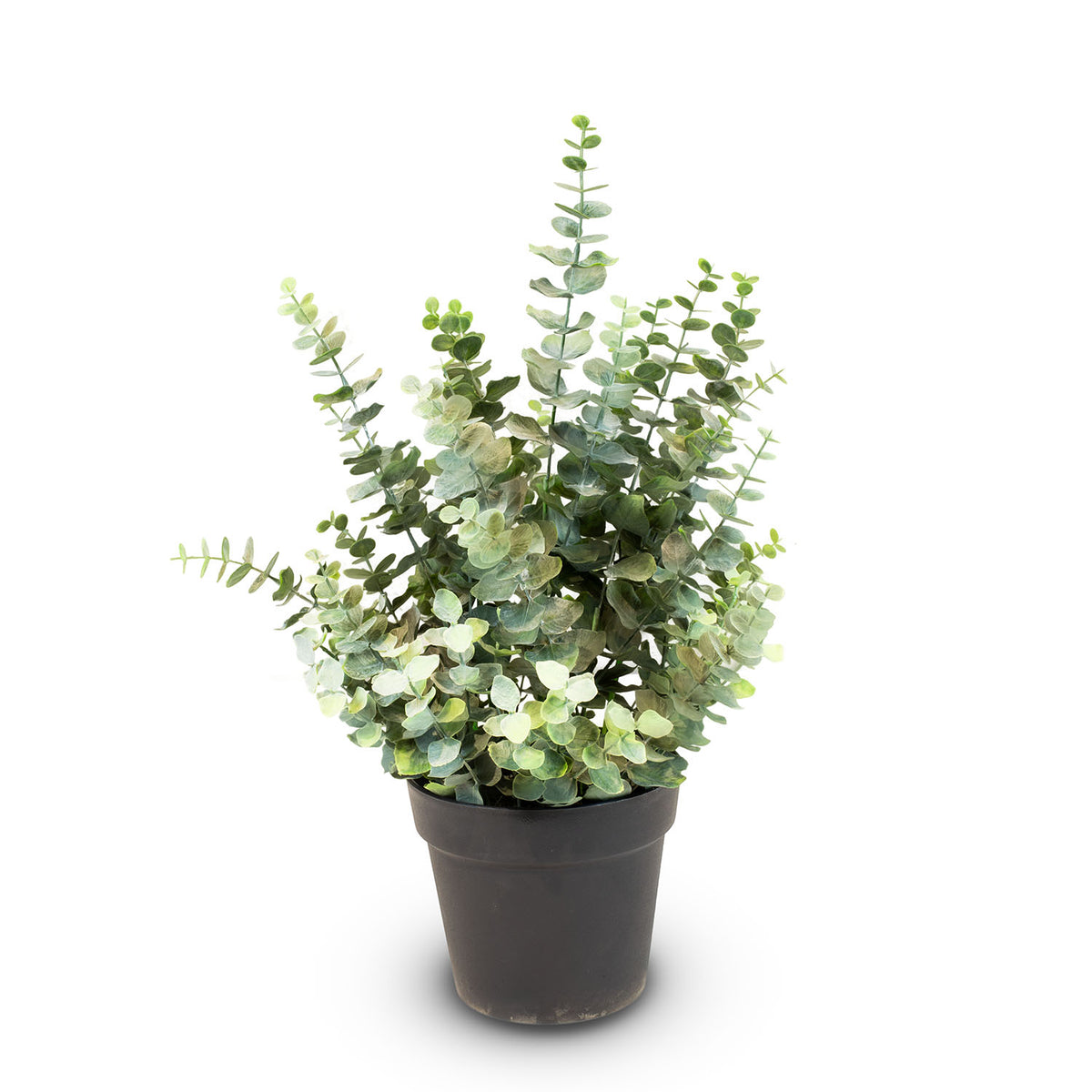 Eucalyptus Kunstpflanze