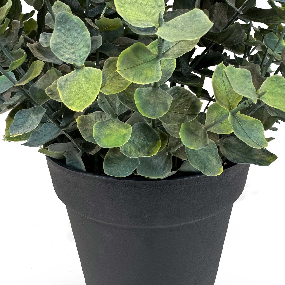 Eucalyptus Kunstpflanze