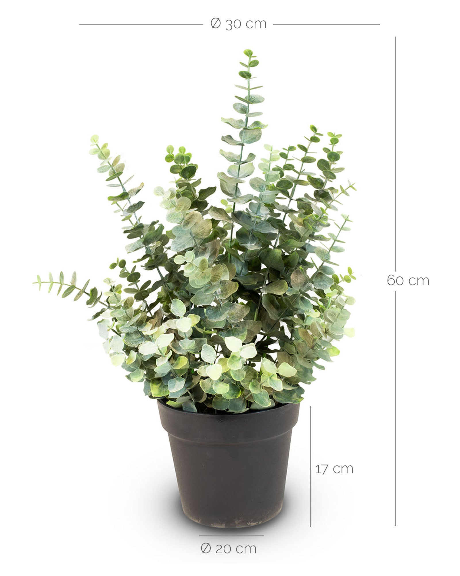 Eucalyptus Kunstpflanze