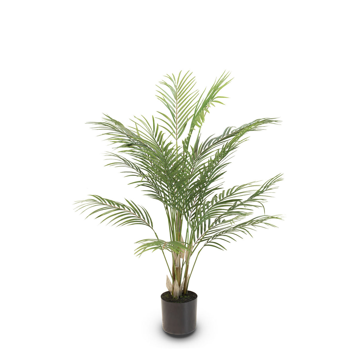 Goldfruchtpalme - Areca Palme Kunstpflanze