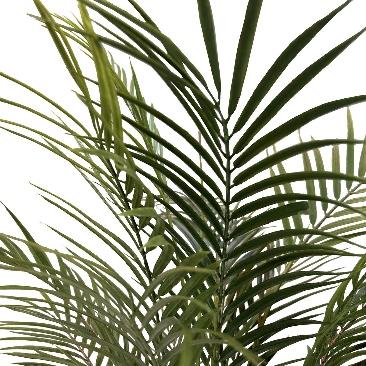 Goldfruchtpalme - Areca Palme Kunstpflanze